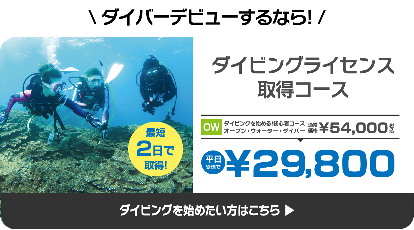 まだダイバーデビューしてない方はこちらから