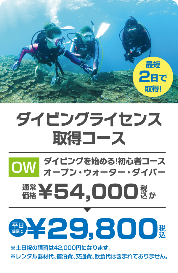 ライセンス取得キャンペーン￥27,000