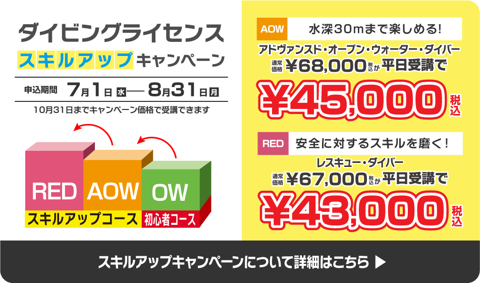 スキルアップもキャンペーンでお得