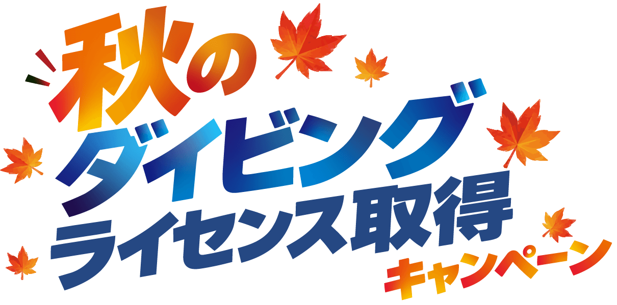 秋のダイビングライセンス取得キャンペーン