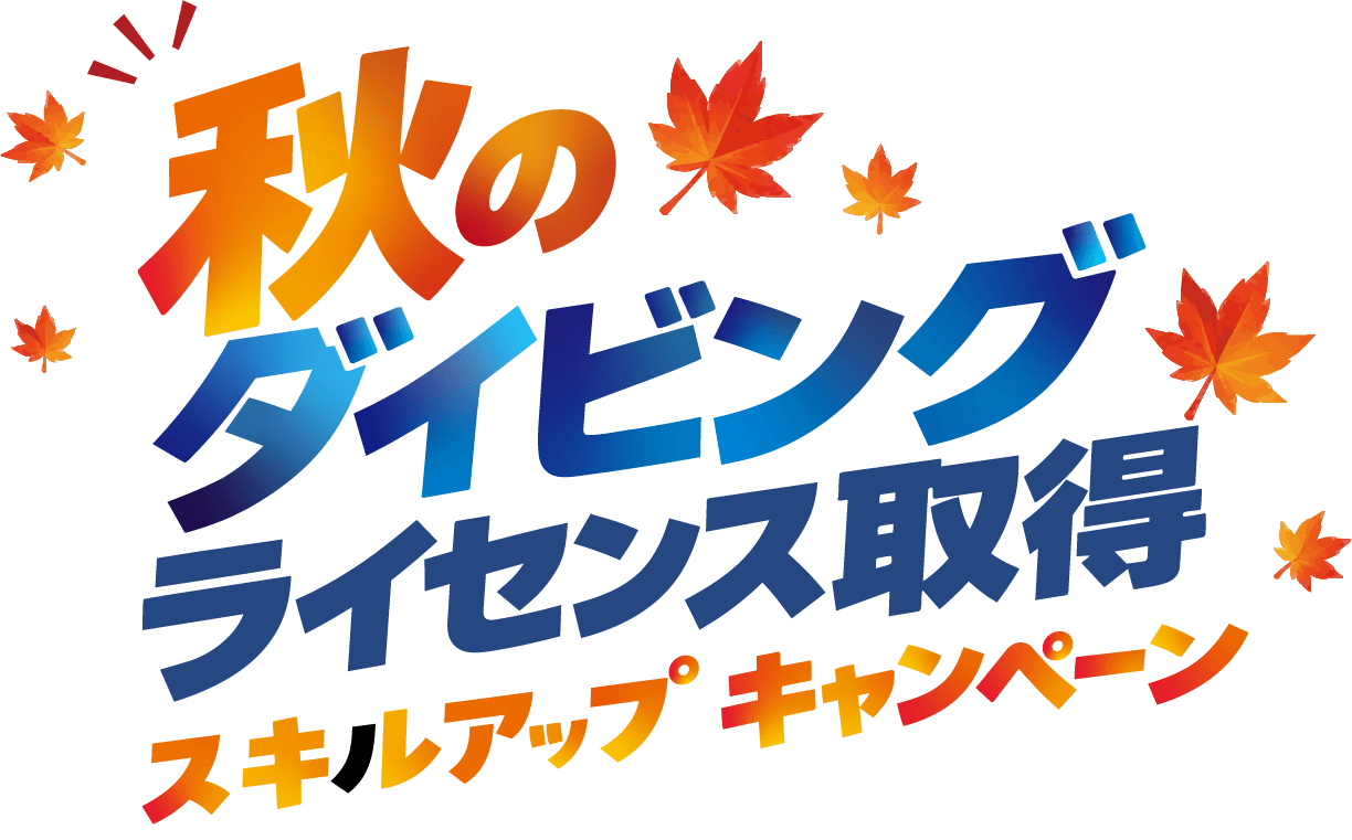 秋のダイビングライセンス取得 スキルアップキャンペーン