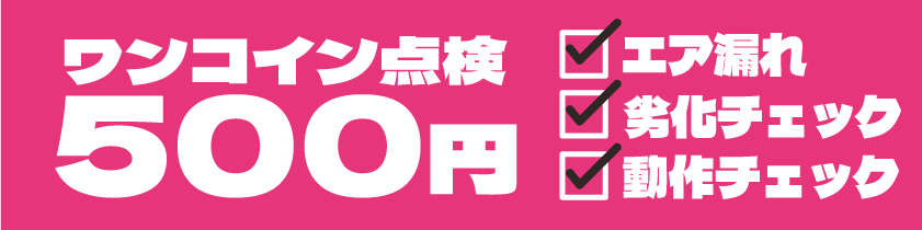 ワンコイン点検