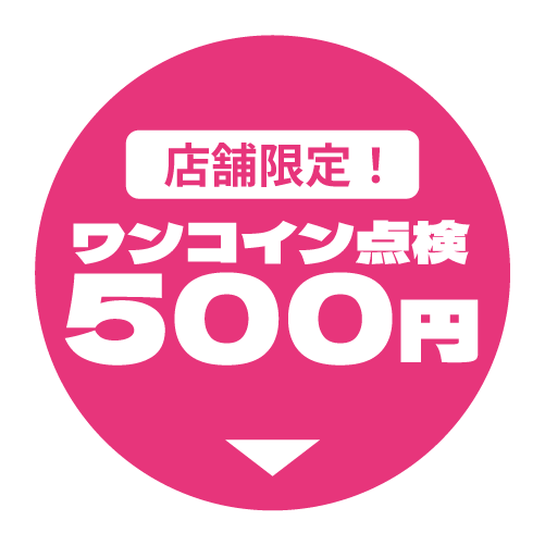 ワンコイン点検500円