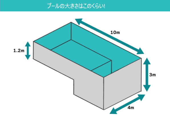 プールの大きさ