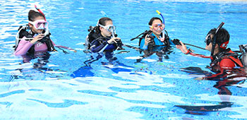 限定水域講習　ダイビングライセンスを取得するためのプールでの講習