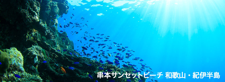 和深沖(和歌山 紀伊半島)