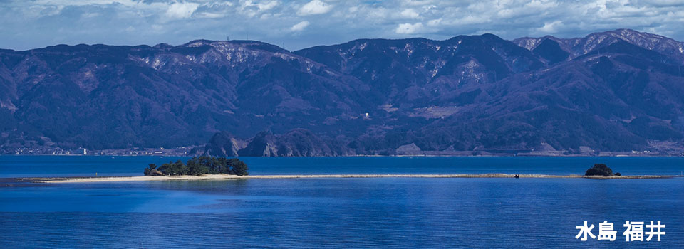 水島(福井)