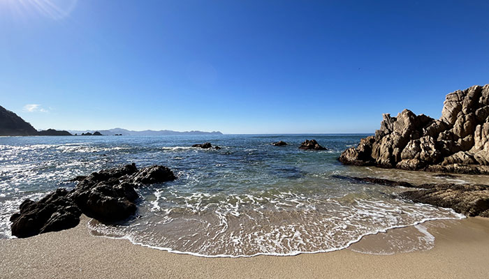 イルカと泳ごう、御蔵島